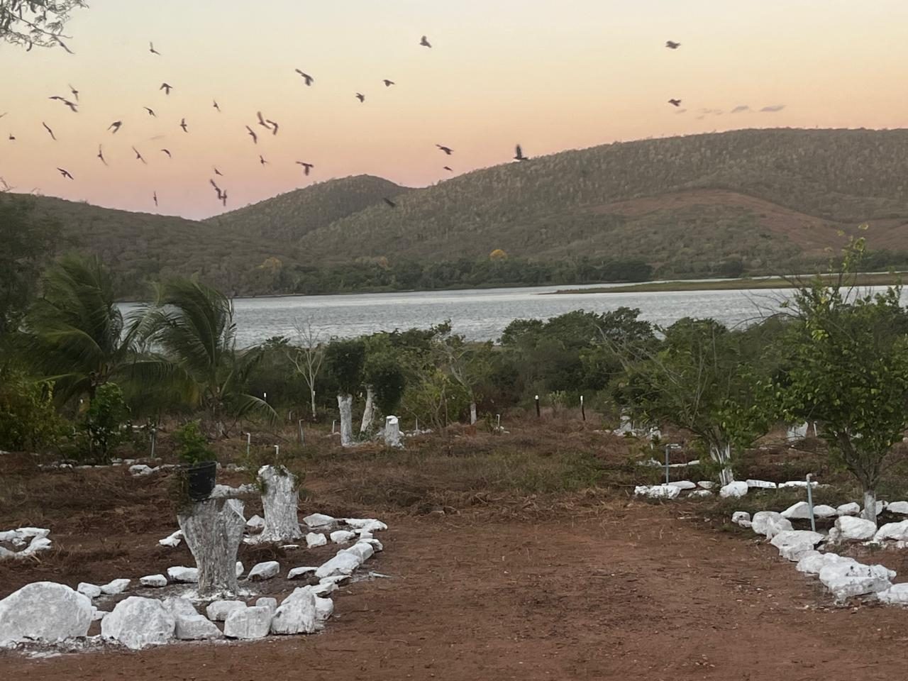 Entardecer com pássaros sobre o rio e a serra